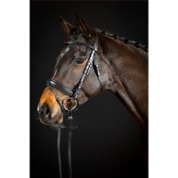 Bridle Bad Harzburg black/silver