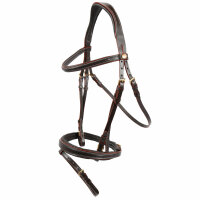 Bridle Rüspel brown/brass english Noseband