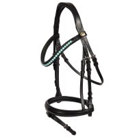 Bridle Saison 2024 flash noseband powder green