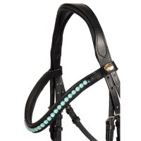 Bridle Saison 2024 flash noseband powder green