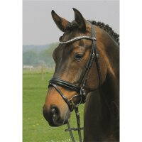 Bridle Hagen black padding