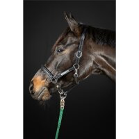 Headcollar Schwaiganger black/silver PONY