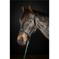 Headcollar Schwaiganger black/silver PONY