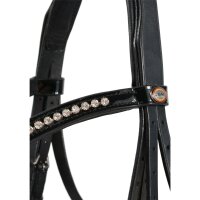 Double Bridle Wiesbaden black/silver LACK