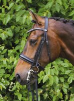 Double Bridle Wiesbaden black/silver LACK